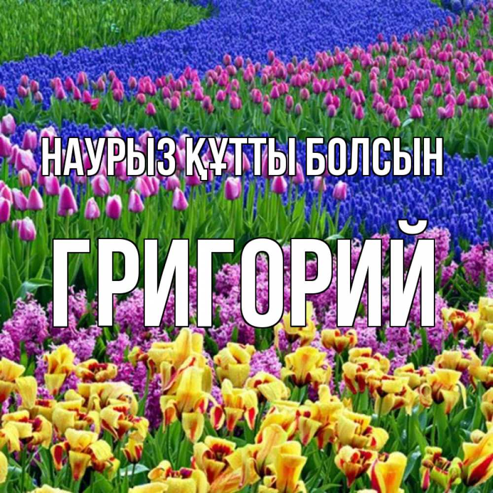 Открытка на каждый день с именем, Григорий Наурыз құтты болсын цветы Прикольная открытка с пожеланием онлайн скачать бесплатно 