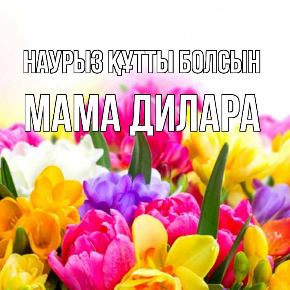 Открытка на каждый день с именем, Мама-Дилара Наурыз құтты болсын тюльпаны Прикольная открытка с пожеланием онлайн скачать бесплатно 