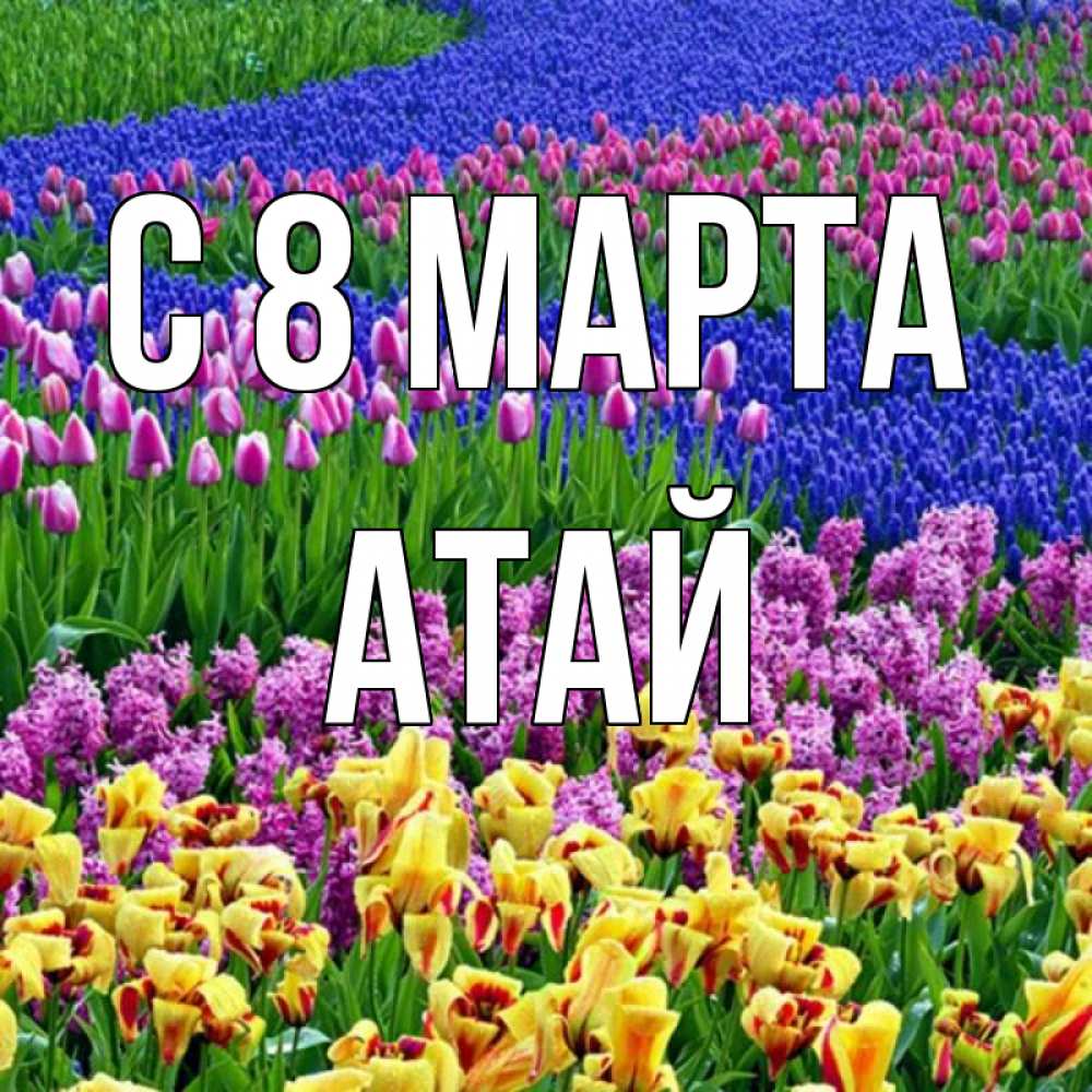 Картинка С 8 МАРТА, Атай