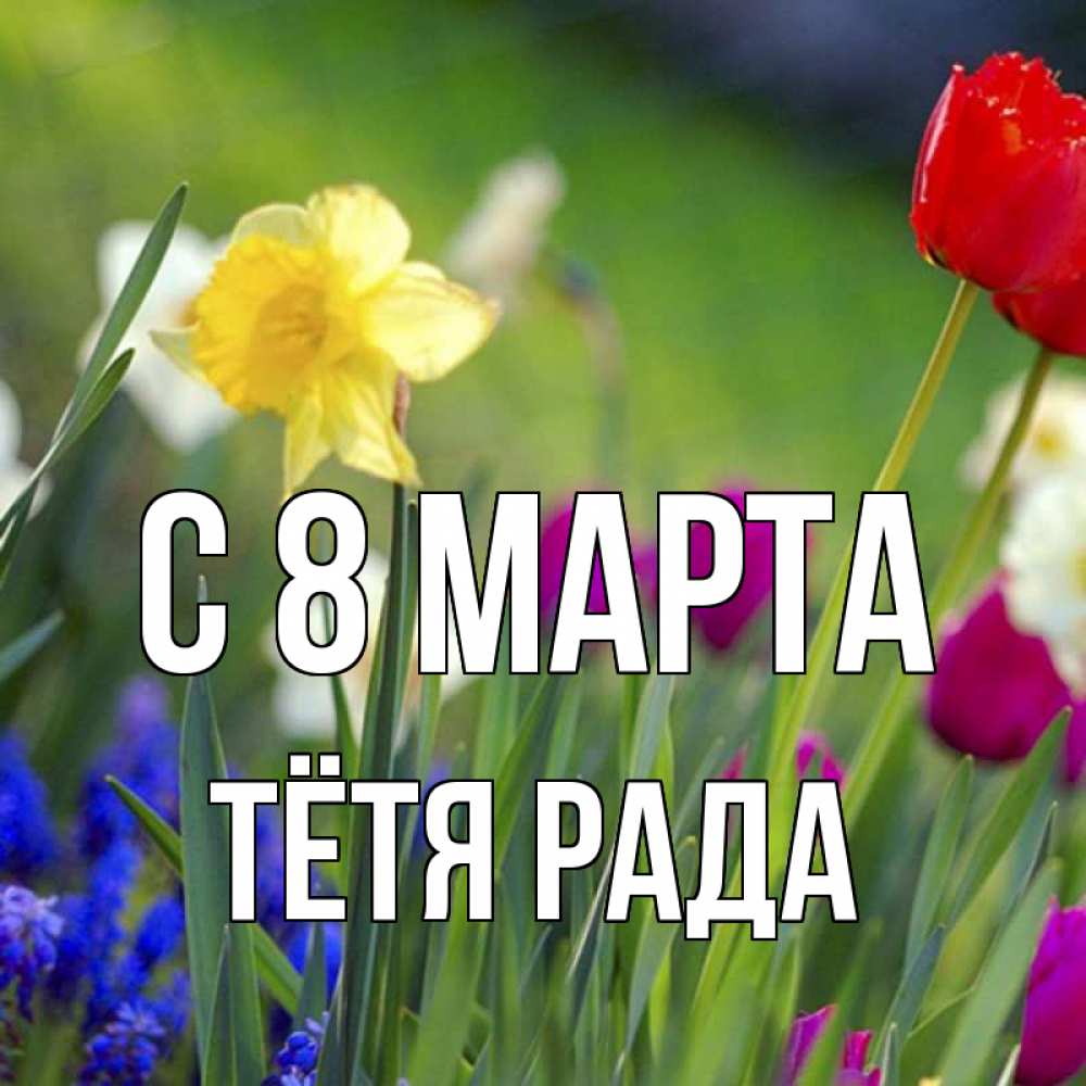 Открытка на каждый день с именем, Тётя-Рада С 8 марта международный женский день 3 Прикольная открытка с пожеланием онлайн скачать бесплатно 