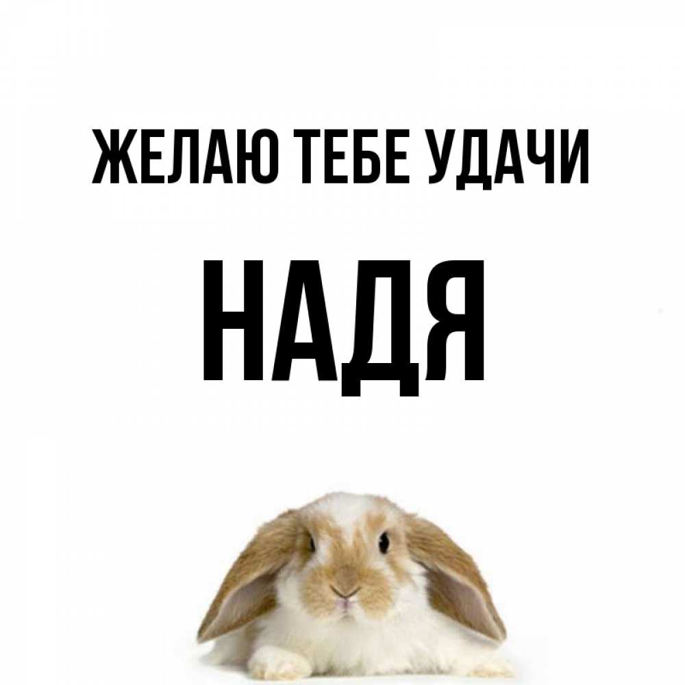 Открытки с именем рада, днем рождения для