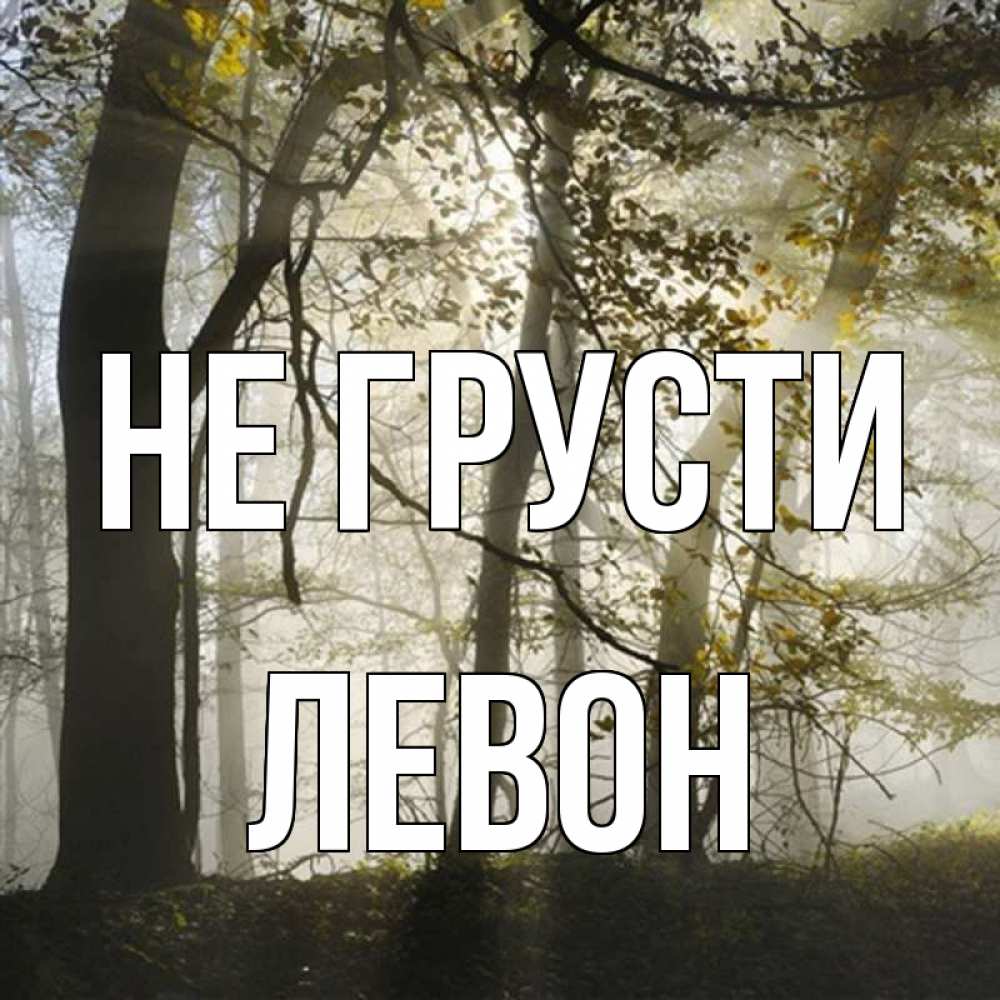 Открытка на каждый день с именем, Левон Не грусти лес и свет Прикольная открытка с пожеланием онлайн скачать бесплатно 