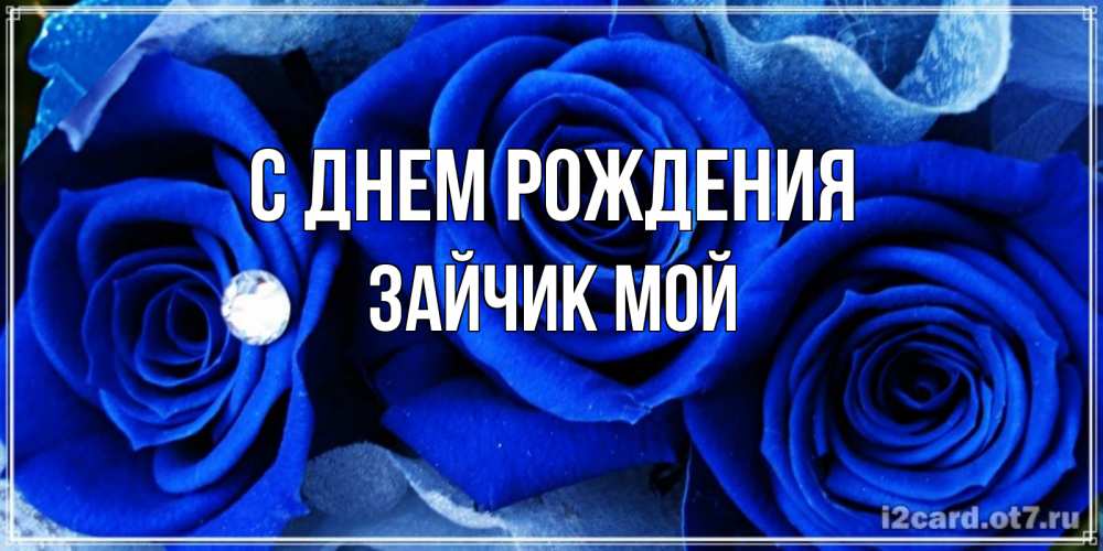 Открытка на каждый день с именем, Зайчик-мой С днем рождения синие розы в росе Прикольная открытка с пожеланием онлайн скачать бесплатно 