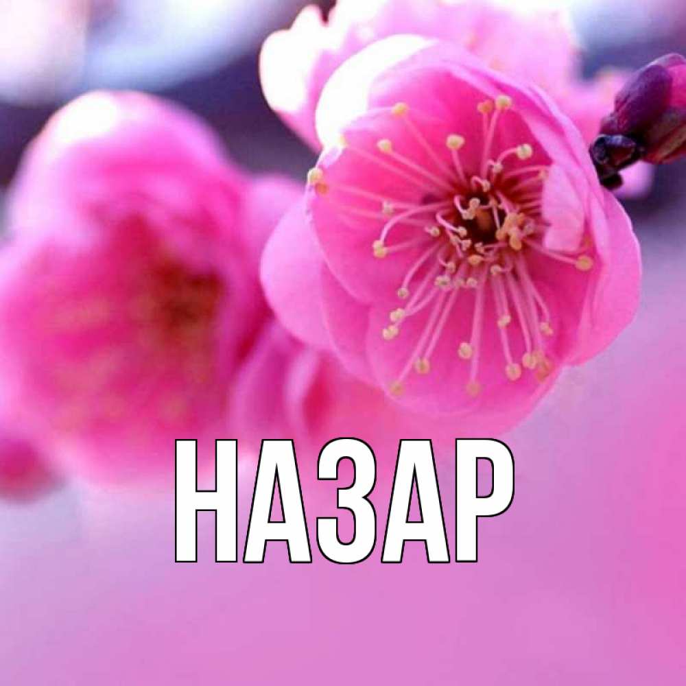 Картинка  с именем , Назар