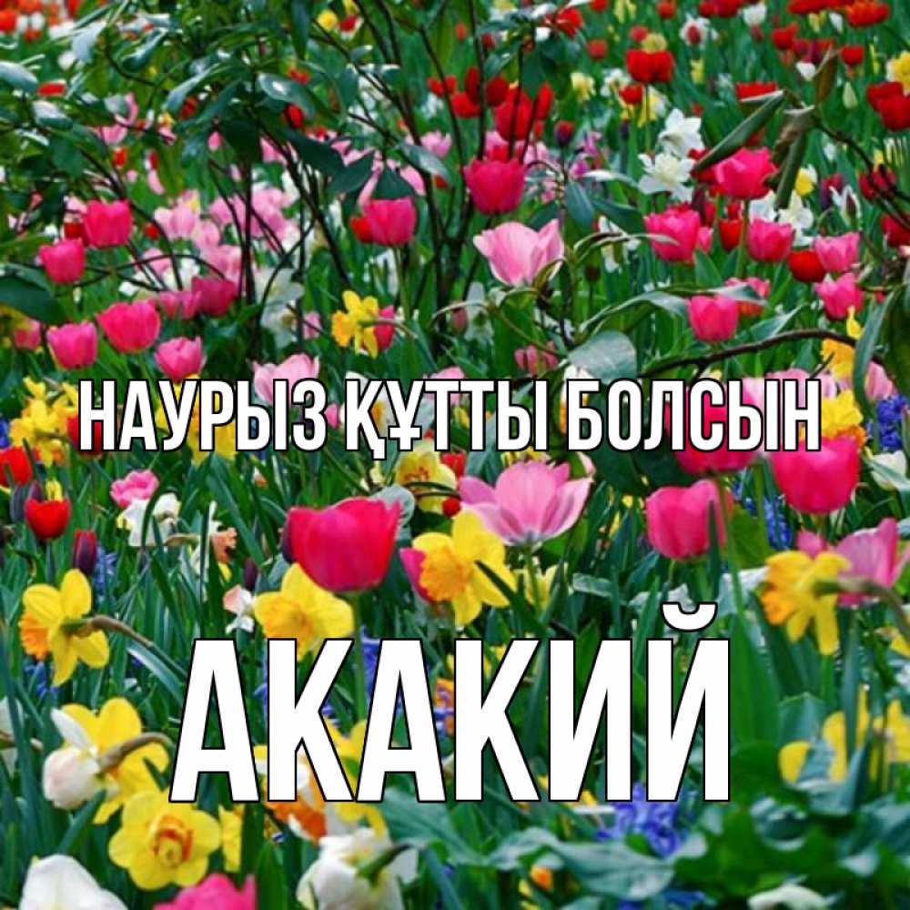 Открытка на каждый день с именем, Акакий Наурыз құтты болсын с наурызом поздравления для женщины Прикольная открытка с пожеланием онлайн скачать бесплатно 