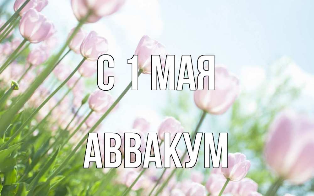 Открытка на каждый день с именем, Аввакум С 1 мая С 1 мая Прикольная открытка с пожеланием онлайн скачать бесплатно 