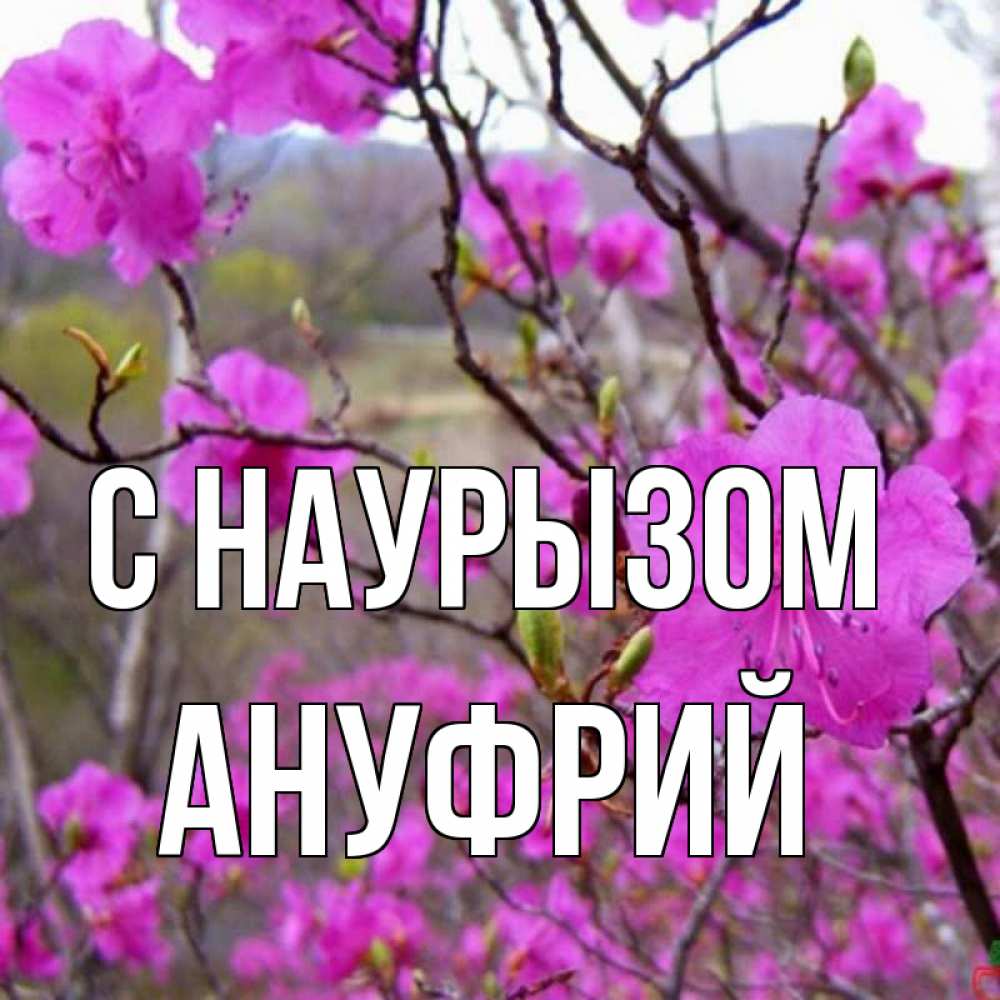 Открытка на каждый день с именем, Ануфрий С наурызом праздник весны наурыз Прикольная открытка с пожеланием онлайн скачать бесплатно 