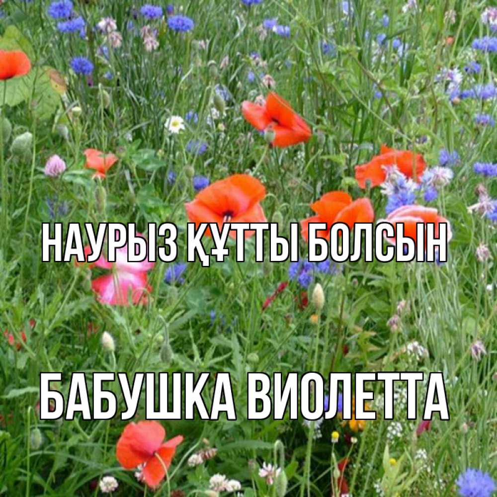Открытка на каждый день с именем, Бабушка-Виолетта Наурыз құтты болсын наурыз  4 Прикольная открытка с пожеланием онлайн скачать бесплатно 