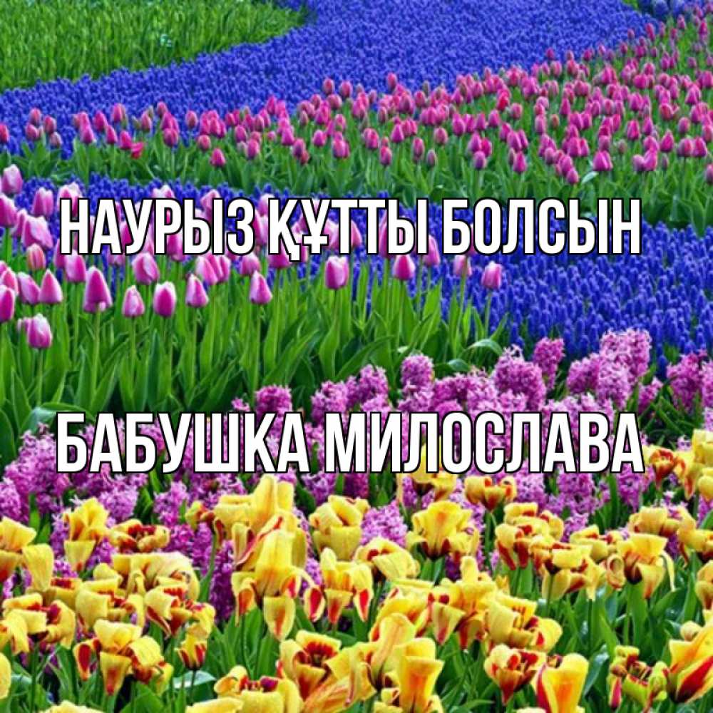 Открытка на каждый день с именем, Бабушка-Милослава Наурыз құтты болсын цветы Прикольная открытка с пожеланием онлайн скачать бесплатно 