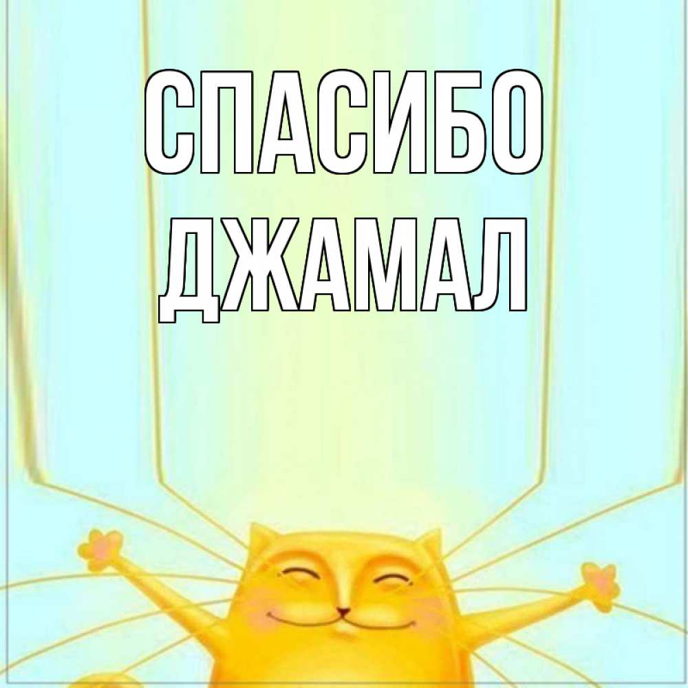 Открытка на каждый день с именем, Джамал Спасибо кот с усами благодарит Прикольная открытка с пожеланием онлайн скачать бесплатно 