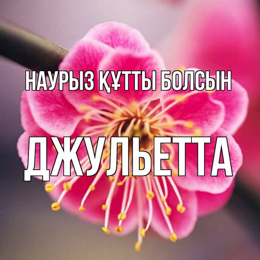 Открытка на каждый день с именем, Джульетта Наурыз құтты болсын цветы Прикольная открытка с пожеланием онлайн скачать бесплатно 