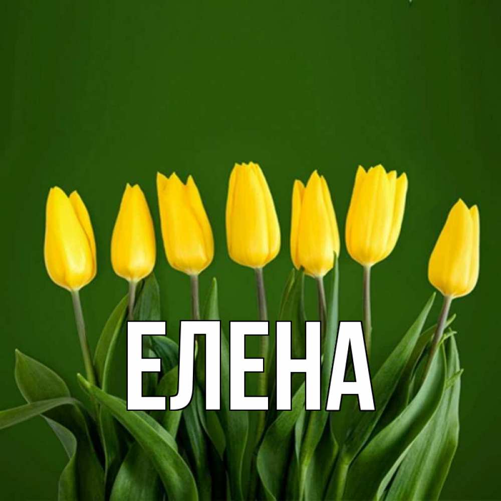 Открытка на каждый день с именем, Елена Главная желтого цвета 3 Прикольная открытка с пожеланием онлайн скачать бесплатно 