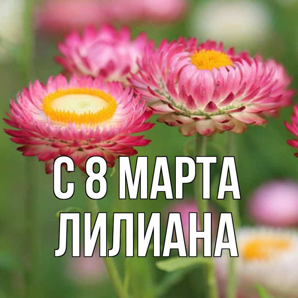 Открытка на каждый день с именем, Лилиана С 8 МАРТА подарок на международный женский день Прикольная открытка с пожеланием онлайн скачать бесплатно 