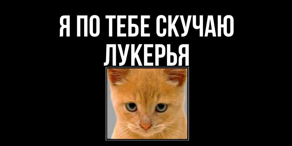 Открытка на каждый день с именем, Лукерья Я по тебе скучаю открытки рыжий котенок скучает по тебе Прикольная открытка с пожеланием онлайн скачать бесплатно 