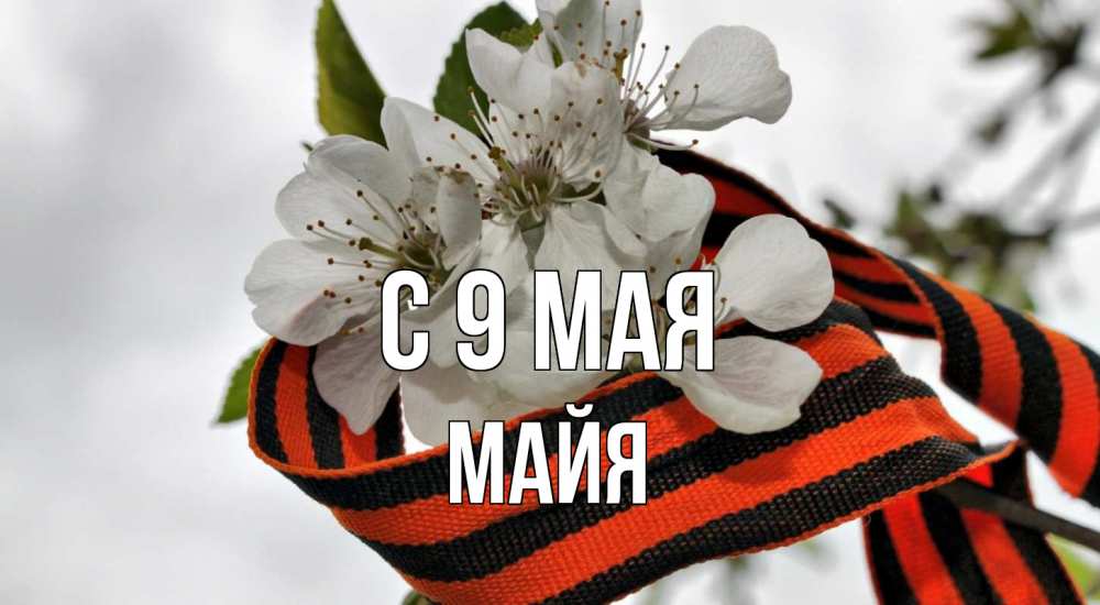 Открытка на каждый день с именем, Майя С 9 мая 9 мая Прикольная открытка с пожеланием онлайн скачать бесплатно 