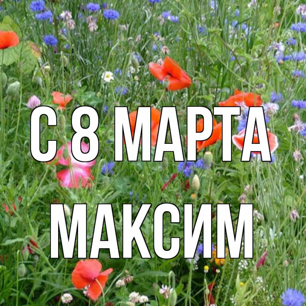 Открытка на каждый день с именем, Максим С 8 МАРТА международный женский день 4 Прикольная открытка с пожеланием онлайн скачать бесплатно 