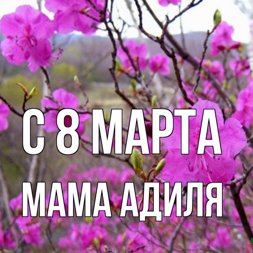 Открытка на каждый день с именем, Мама-Адиля С 8 марта международный женский день Прикольная открытка с пожеланием онлайн скачать бесплатно 