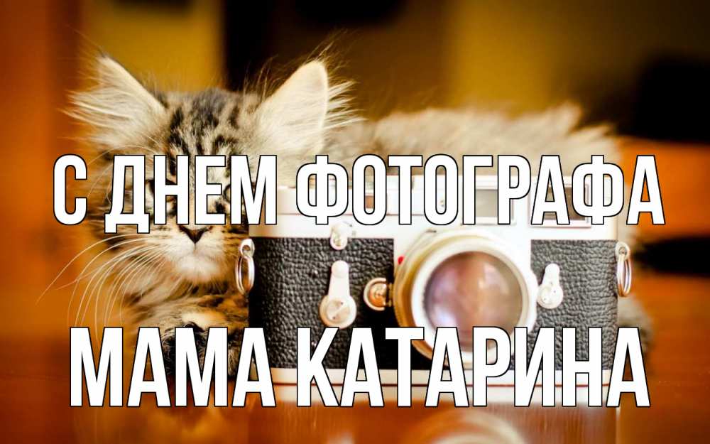 Открытка на каждый день с именем, Мама-Катарина С днем фотографа с днем фотографа Прикольная открытка с пожеланием онлайн скачать бесплатно 