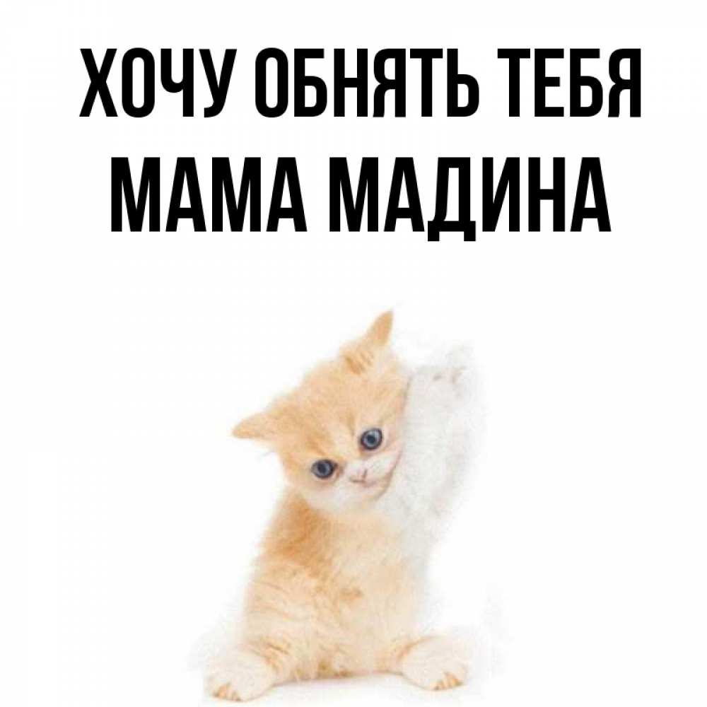 Открытка на каждый день с именем, Мама-Мадина Хочу обнять тебя я хочу очень скорее обнимаешек Прикольная открытка с пожеланием онлайн скачать бесплатно 