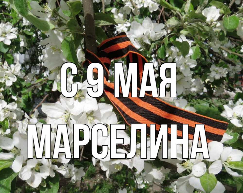 Открытка на каждый день с именем, Марселина С 9 мая 9 мая Прикольная открытка с пожеланием онлайн скачать бесплатно 