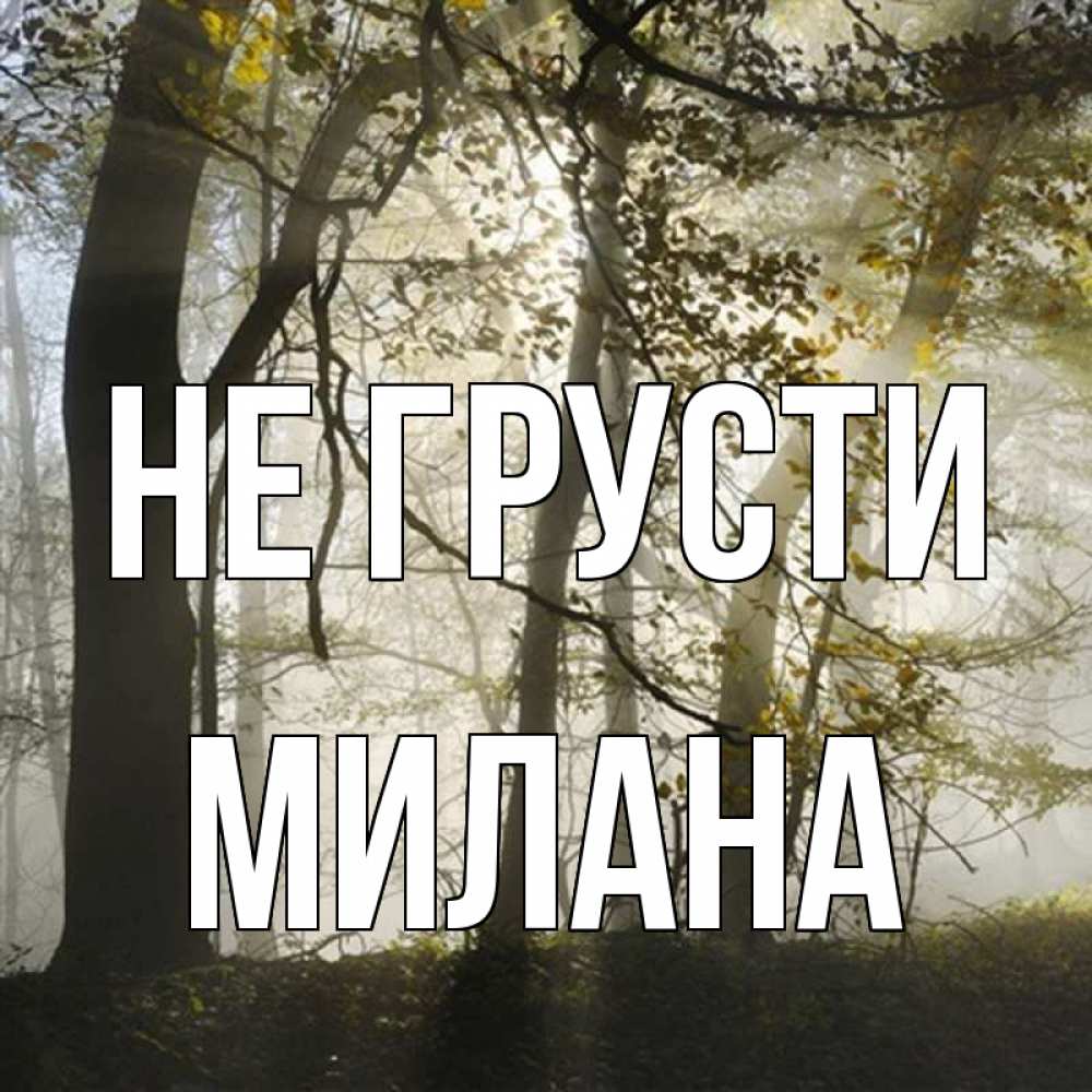 Открытка на каждый день с именем, Милана Не грусти лес и свет Прикольная открытка с пожеланием онлайн скачать бесплатно 