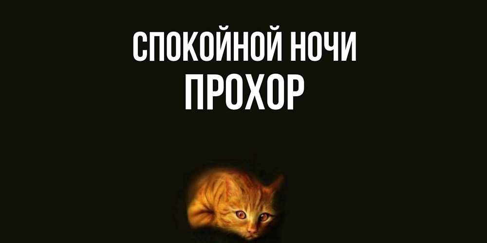 Открытка на каждый день с именем, Прохор Спокойной ночи кот Прикольная открытка с пожеланием онлайн скачать бесплатно 