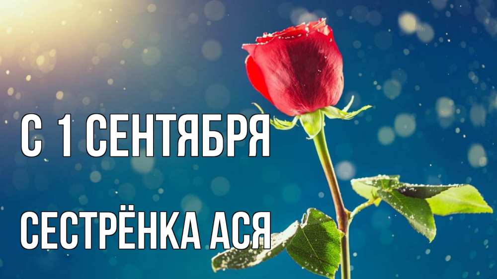 Открытка на каждый день с именем, Сестрёнка-Ася С 1 сентября с днем знаний Прикольная открытка с пожеланием онлайн скачать бесплатно 