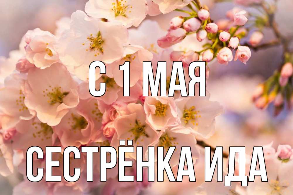 Открытка на каждый день с именем, Сестрёнка-Ида С 1 мая С 1 мая Прикольная открытка с пожеланием онлайн скачать бесплатно 