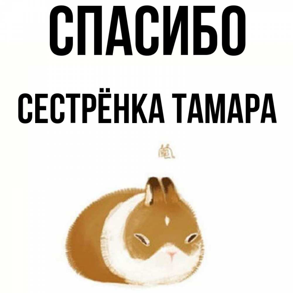 Открытка на каждый день с именем, Сестрёнка-Тамара Спасибо коричнево белый домашний питомец Прикольная открытка с пожеланием онлайн скачать бесплатно 