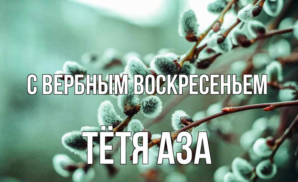 Открытка на каждый день с именем, Тётя-Аза С вербным воскресеньем верба Прикольная открытка с пожеланием онлайн скачать бесплатно 