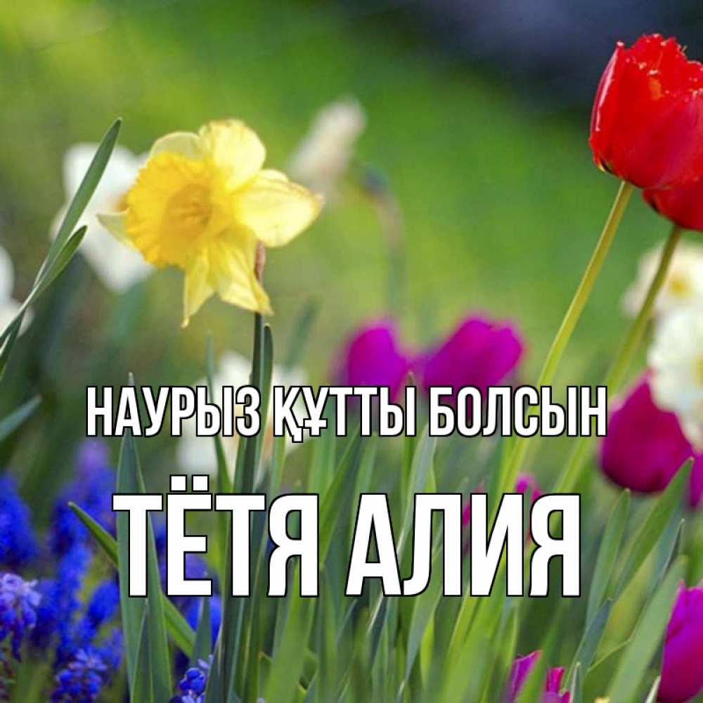 Открытка на каждый день с именем, Тётя-Алия Наурыз құтты болсын наурыз  3 открытки Прикольная открытка с пожеланием онлайн скачать бесплатно 