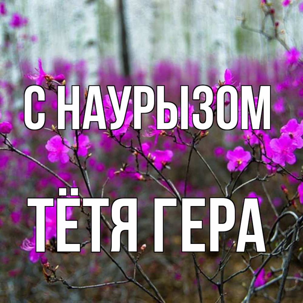 Открытка на каждый день с именем, Тётя-Гера С наурызом дикие цветы Прикольная открытка с пожеланием онлайн скачать бесплатно 