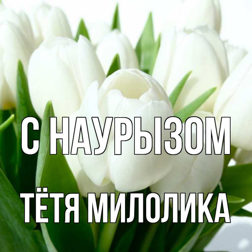 Открытка на каждый день с именем, Тётя-Милолика С наурызом цветы Прикольная открытка с пожеланием онлайн скачать бесплатно 