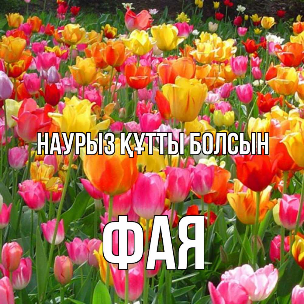 Открытка на каждый день с именем, Фая Наурыз құтты болсын на наурыз  ура ура Прикольная открытка с пожеланием онлайн скачать бесплатно 