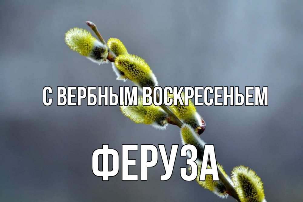 Открытка на каждый день с именем, Феруза С вербным воскресеньем верба Прикольная открытка с пожеланием онлайн скачать бесплатно 