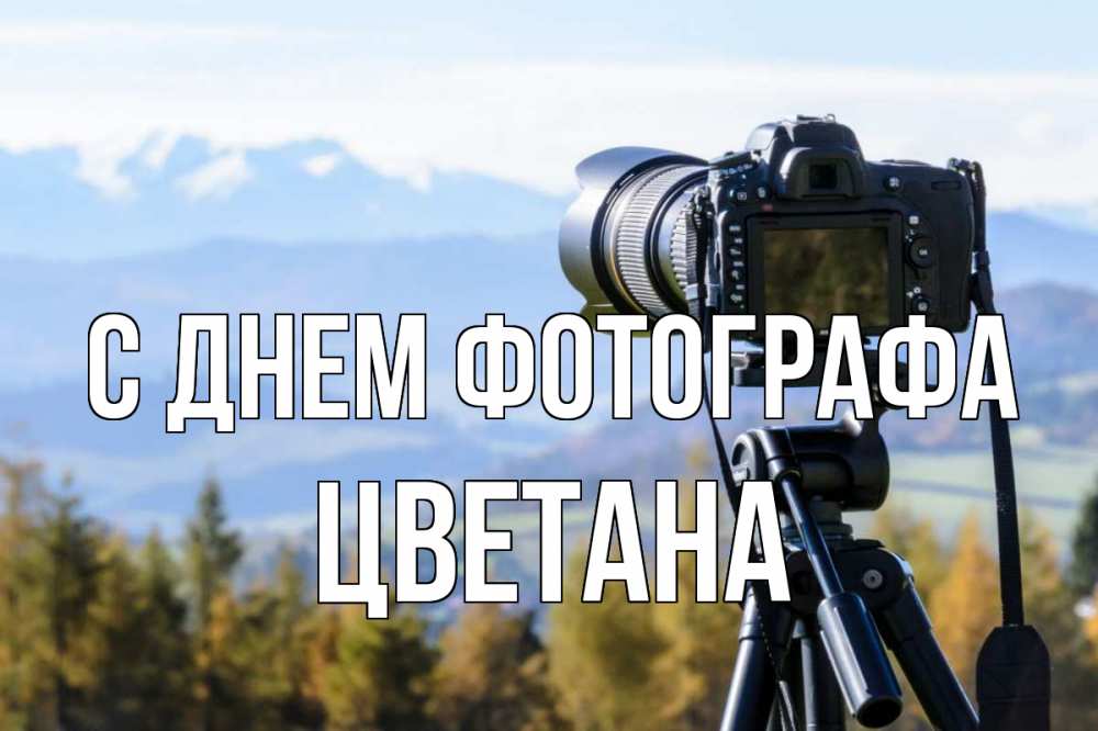 Открытка на каждый день с именем, Цветана С днем фотографа с днем фотографа Прикольная открытка с пожеланием онлайн скачать бесплатно 