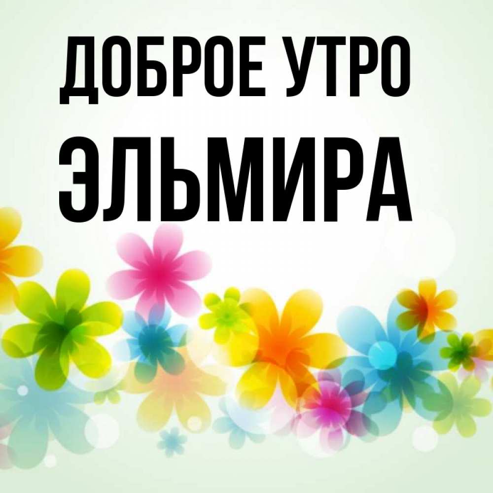 Эльмира Картинка