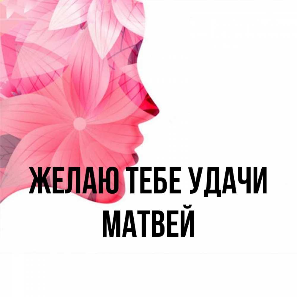 Привет матвей картинки