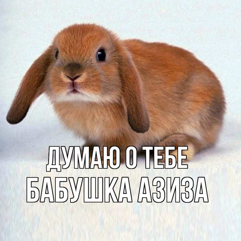 Открытка на каждый день с именем, Бабушка-Азиза Думаю о тебе кроль коричневый Прикольная открытка с пожеланием онлайн скачать бесплатно 