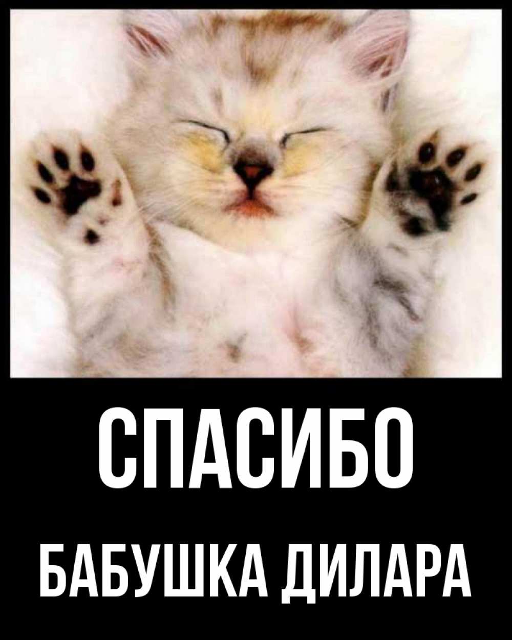 Открытка на каждый день с именем, Бабушка-Дилара Спасибо маленький котенок Прикольная открытка с пожеланием онлайн скачать бесплатно 