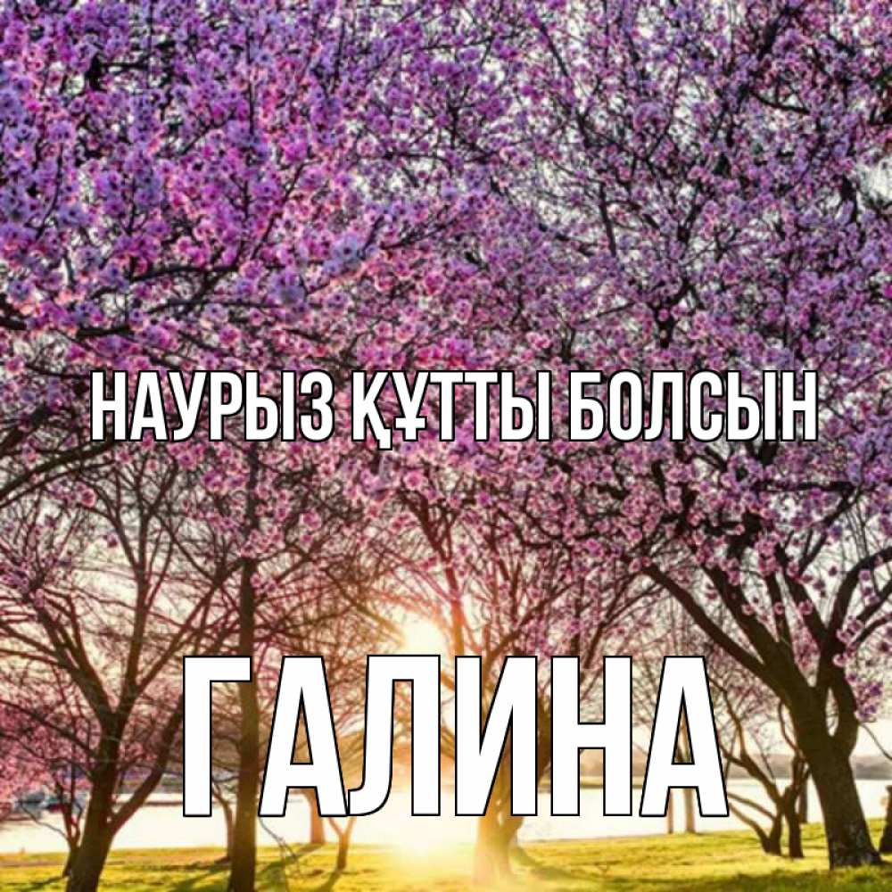 Открытка на каждый день с именем, Галина Наурыз құтты болсын наурыз Прикольная открытка с пожеланием онлайн скачать бесплатно 