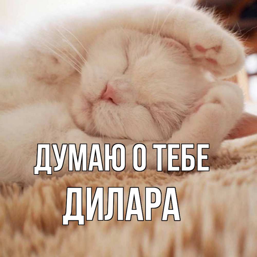 Открытка на каждый день с именем, Дилара Думаю о тебе для любимой девушки милота Прикольная открытка с пожеланием онлайн скачать бесплатно 