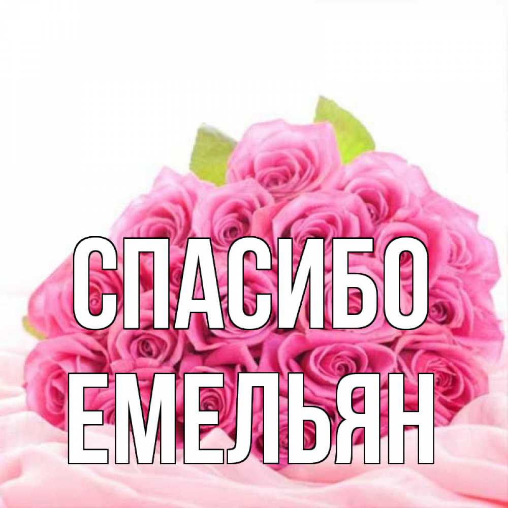 Открытка на каждый день с именем, Емельян Спасибо розовые розы с подписью Прикольная открытка с пожеланием онлайн скачать бесплатно 