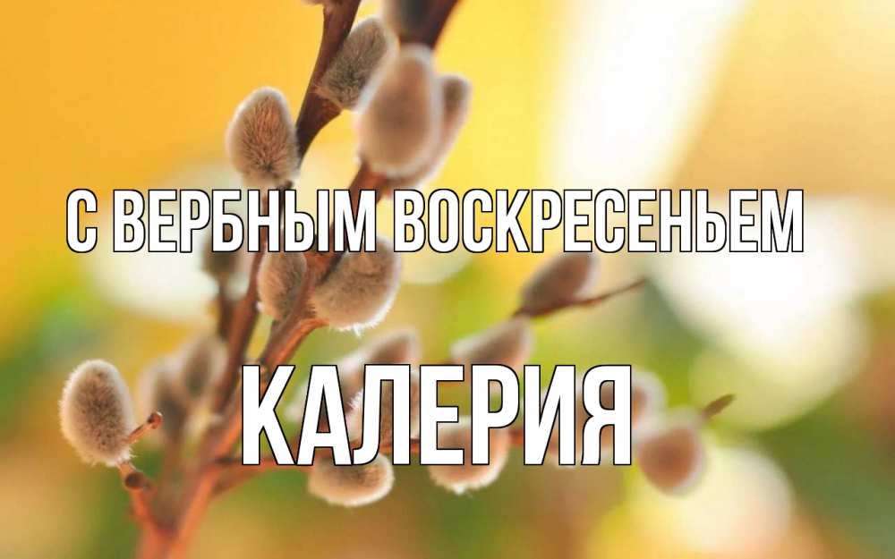 Открытка на каждый день с именем, Калерия С вербным воскресеньем верба Прикольная открытка с пожеланием онлайн скачать бесплатно 