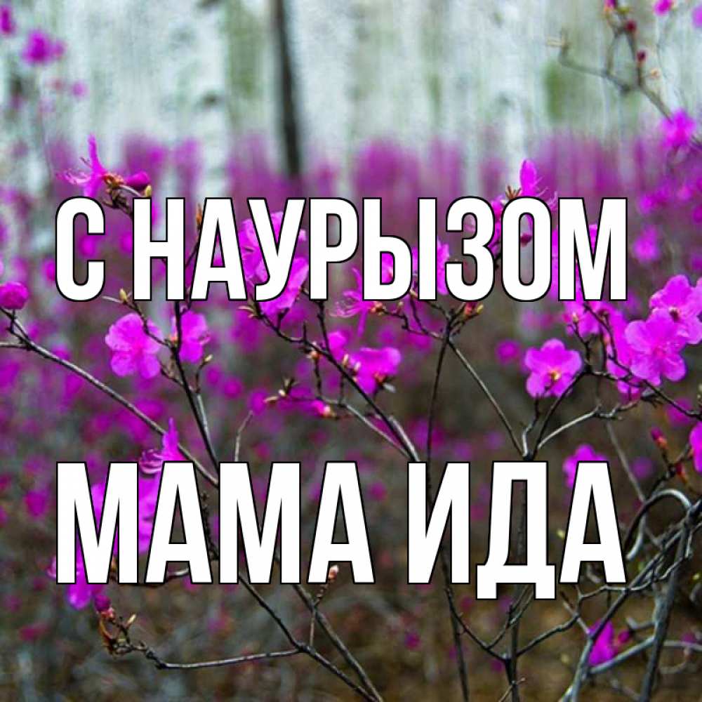 Открытка на каждый день с именем, Мама-Ида С наурызом дикие цветы Прикольная открытка с пожеланием онлайн скачать бесплатно 