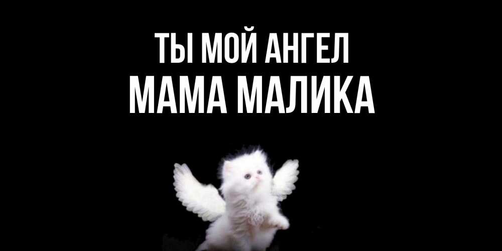 Открытка на каждый день с именем, Мама-Малика Ты мой ангел Кот ангел Прикольная открытка с пожеланием онлайн скачать бесплатно 