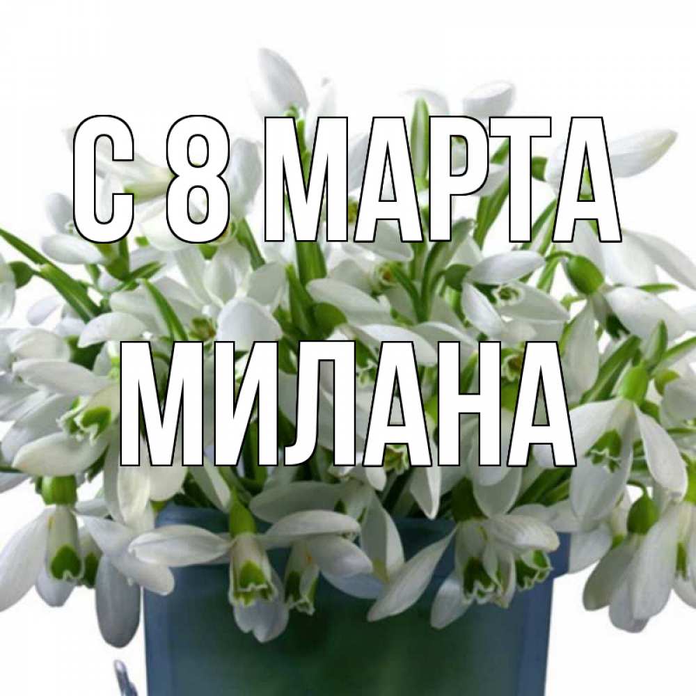 Открытка на каждый день с именем, Милана С 8 МАРТА цветы к международному женскому дню Прикольная открытка с пожеланием онлайн скачать бесплатно 