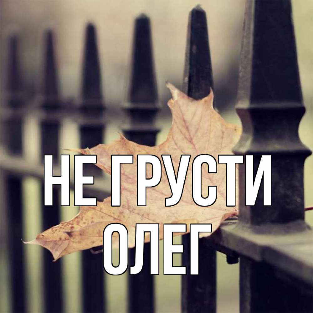 Открытка на каждый день с именем, Олег Не грусти лист клена Прикольная открытка с пожеланием онлайн скачать бесплатно 