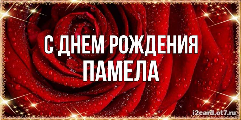 Открытка на каждый день с именем, Памела С днем рождения роса на розе блестящая в лучах солнца Прикольная открытка с пожеланием онлайн скачать бесплатно 