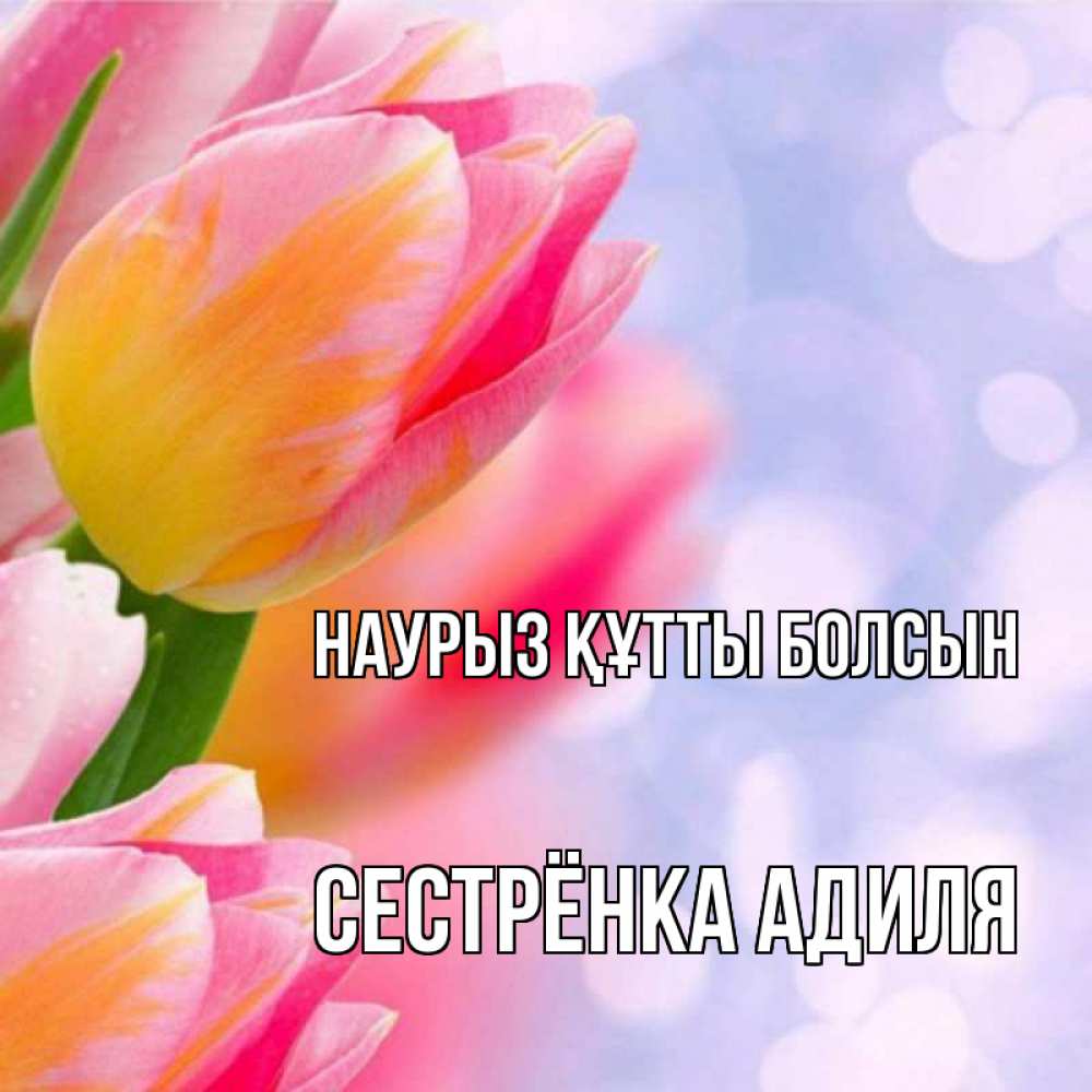 Открытка на каждый день с именем, Сестрёнка-Адиля Наурыз құтты болсын тюльпаны 2 Прикольная открытка с пожеланием онлайн скачать бесплатно 